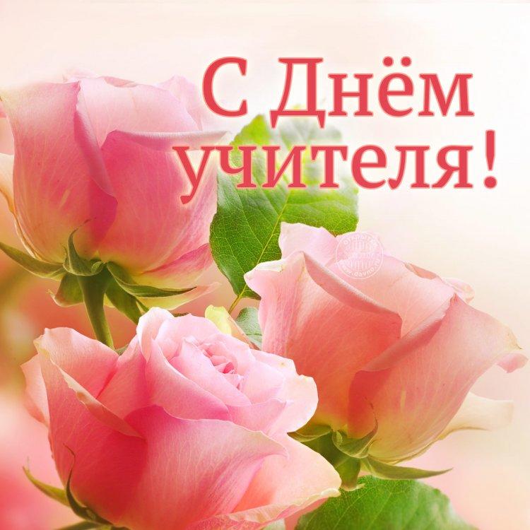 С днем учителя!