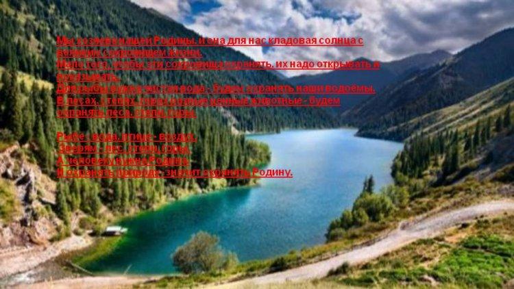 Клуб "Эколог"